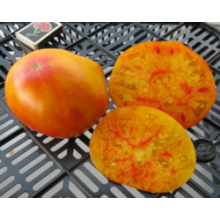 Редкие сорта томатов Желто-розовые Бабушки Виней